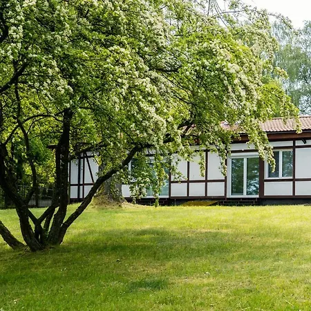 Pod Grotem Z Widokiem Na Jezioro, Oczy Mazur